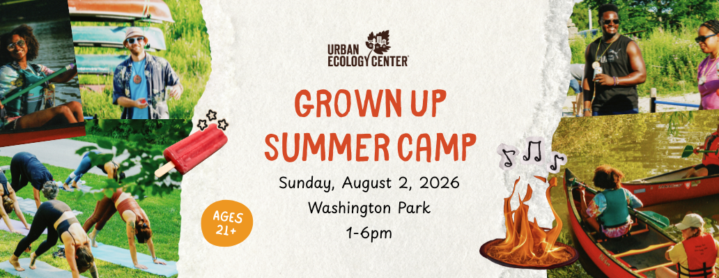 Grown Up Summer Camp